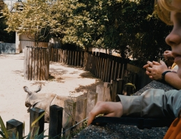 1998CAM_2019_05_18_13_26_08_FN
