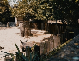 1998CAM_2019_05_18_13_26_23_FN
